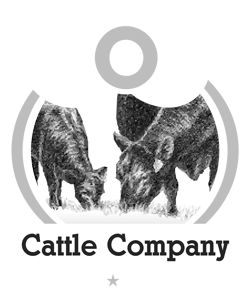 Co3 Cattle Company
